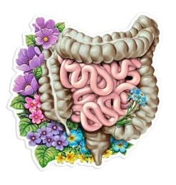 Sticker d'anatomie de l'estomac - Floral