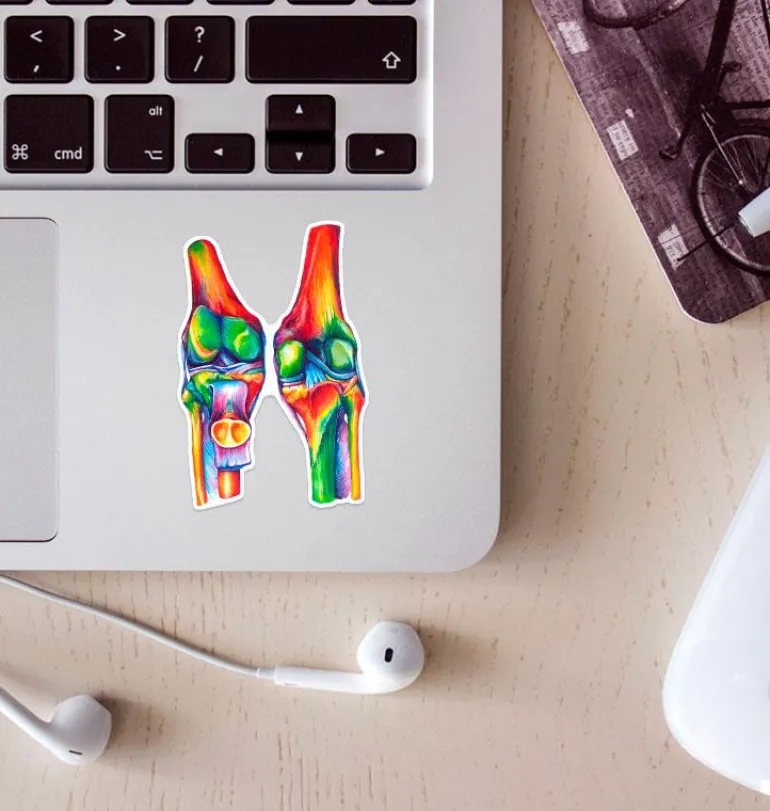 Sticker d'anatomie des genoux - Aquarelle