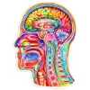 Sticker d'anatomie du cerveau III - Aquarelle