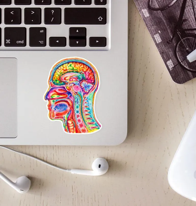 Sticker d'anatomie du cerveau III - Aquarelle