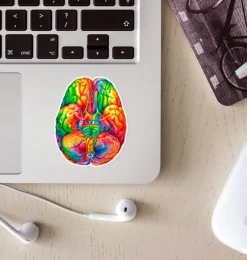 Sticker d'anatomie du cerveau II - Aquarelle