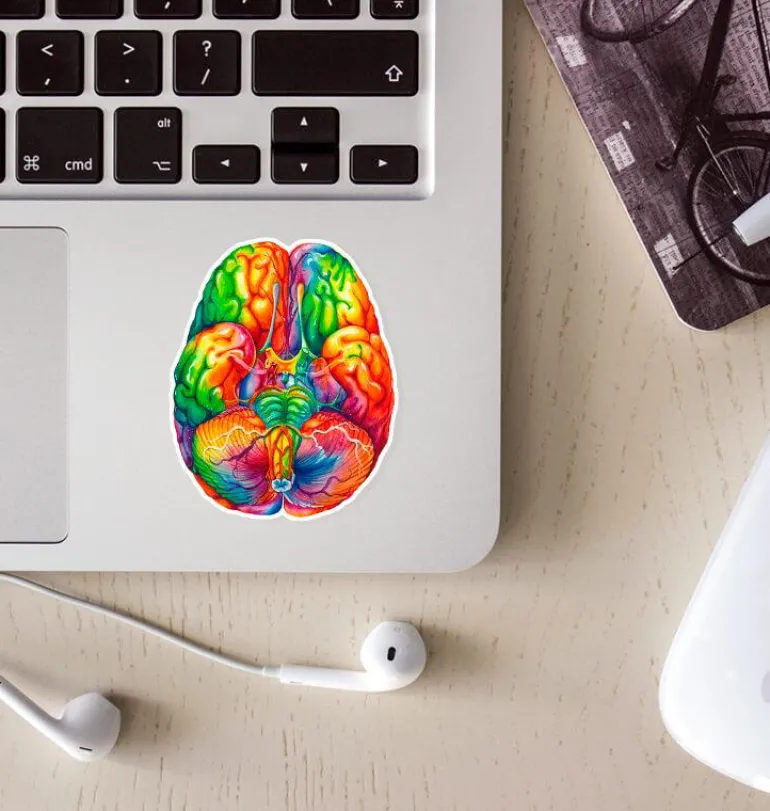 Sticker d'anatomie du cerveau II - Aquarelle