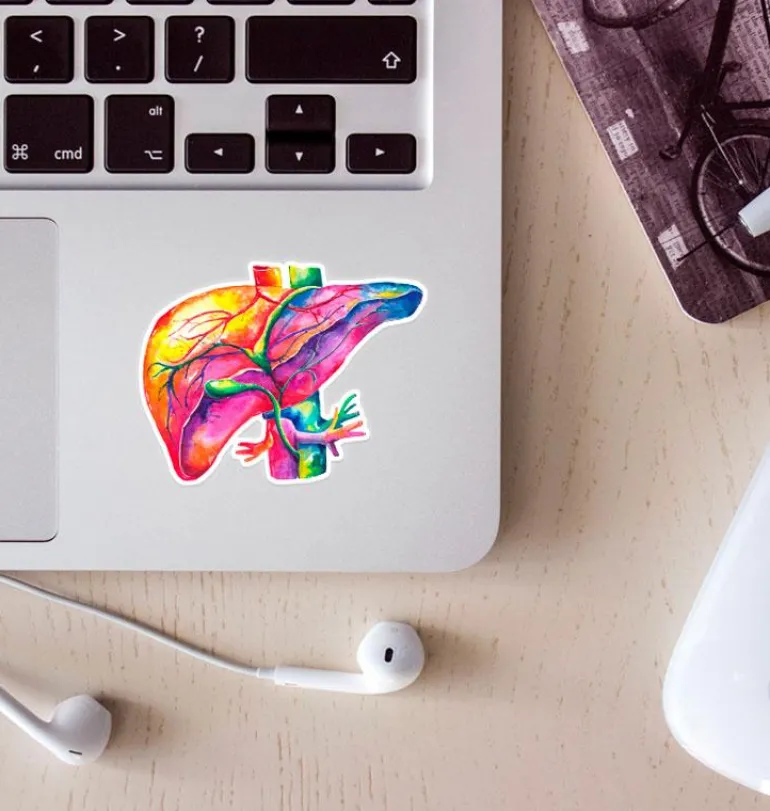 Sticker d'anatomie du foie - Aquarelle