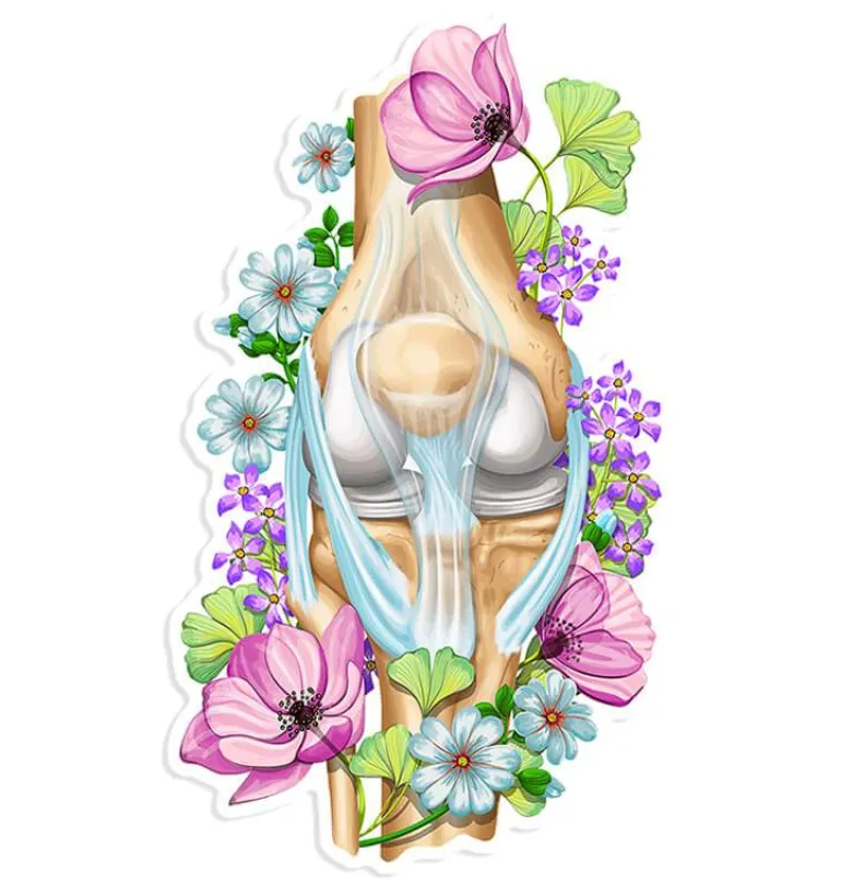 Sticker d'anatomie du genou - Floral