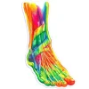 Sticker d'anatomie du pied II - Aquarelle