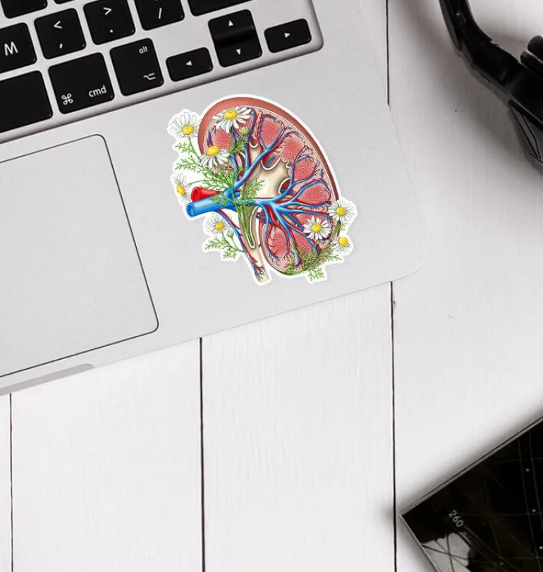 Sticker d'anatomie du rein II - Floral