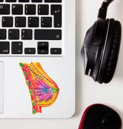 Sticker d'anatomie mammaire - Aquarelle