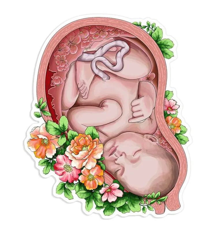 Sticker d'anatomie utérine - Floral