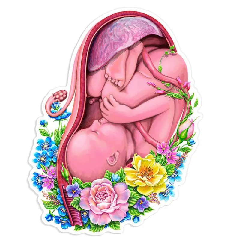Sticker d'anatomie utérine - Floral