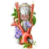 Sticker larynx, aorte, d'anatomie thyroïdienne - Floral