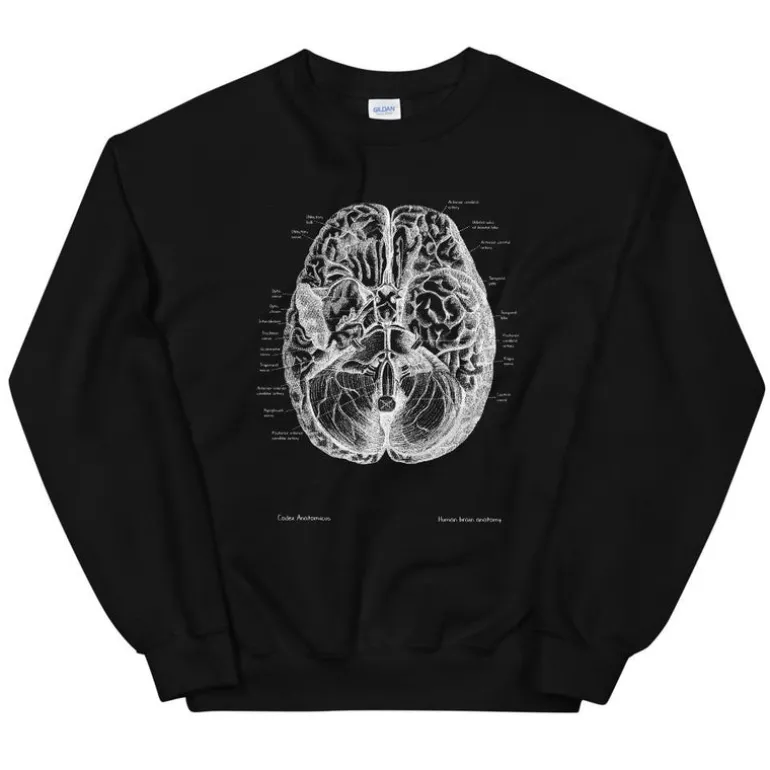Sweat Unisexe Cerveau II - Chalkboard