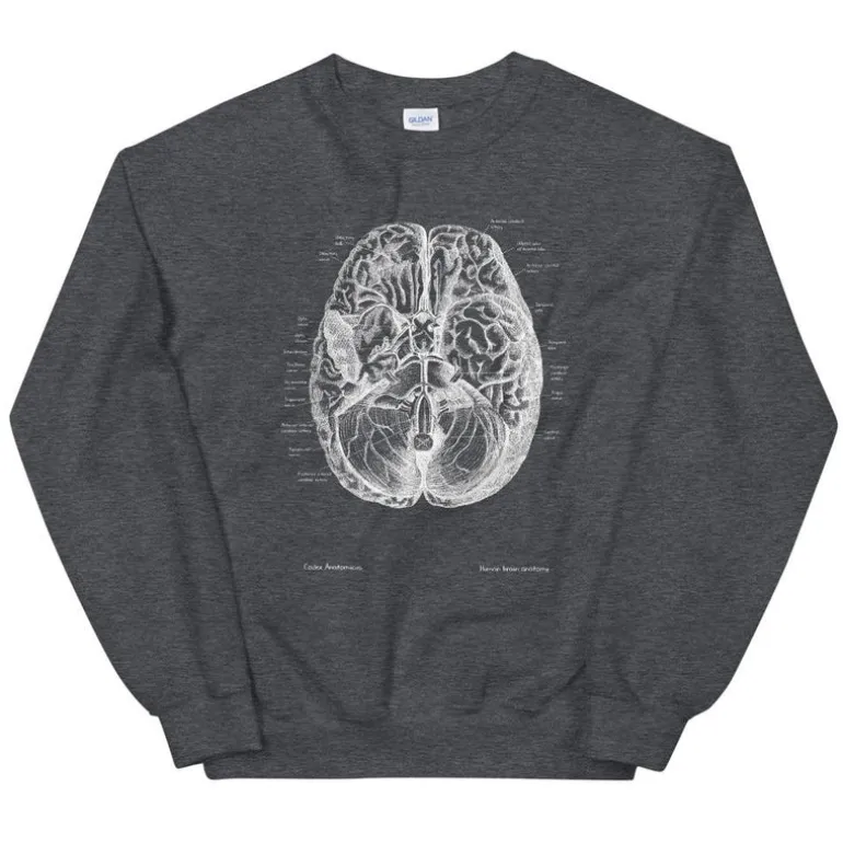 Sweat Unisexe Cerveau II - Chalkboard