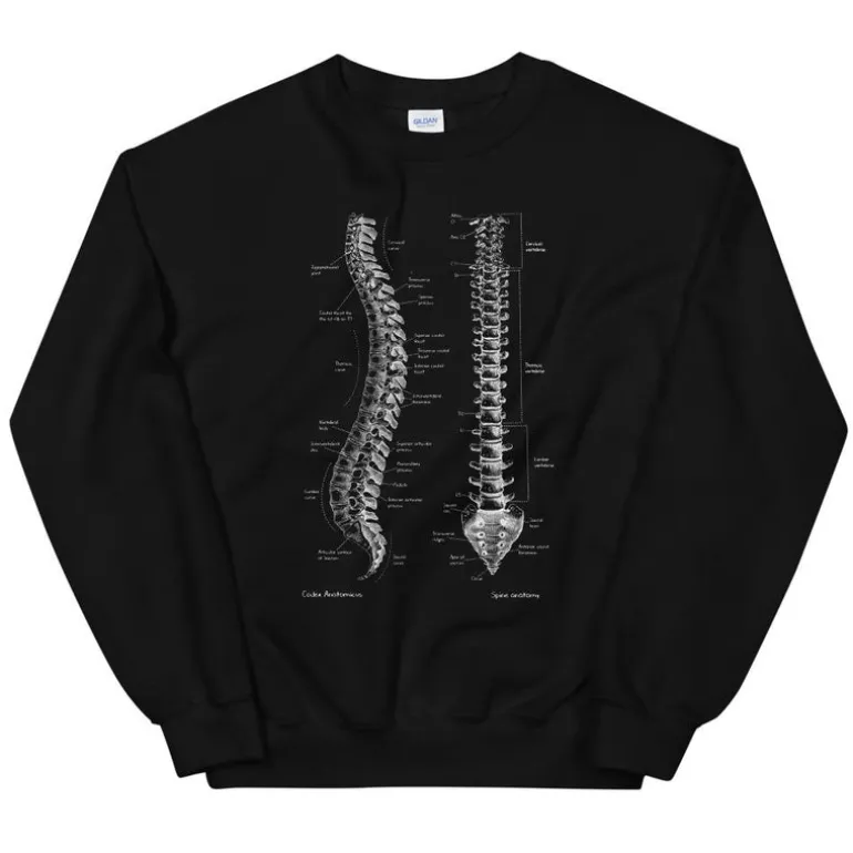Sweat Unisexe Colonne Vertébrale - Chalkboard