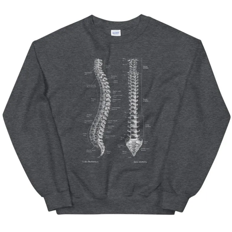 Sweat Unisexe Colonne Vertébrale - Chalkboard