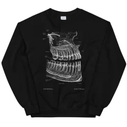 Sweat Unisexe Dentaire - Chalkboard