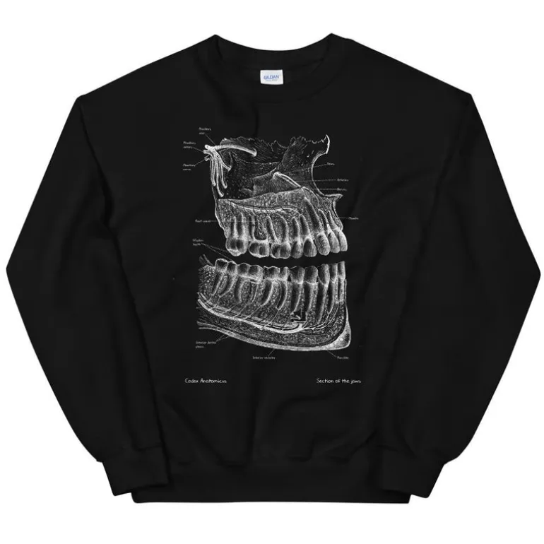 Sweat Unisexe Dentaire - Chalkboard