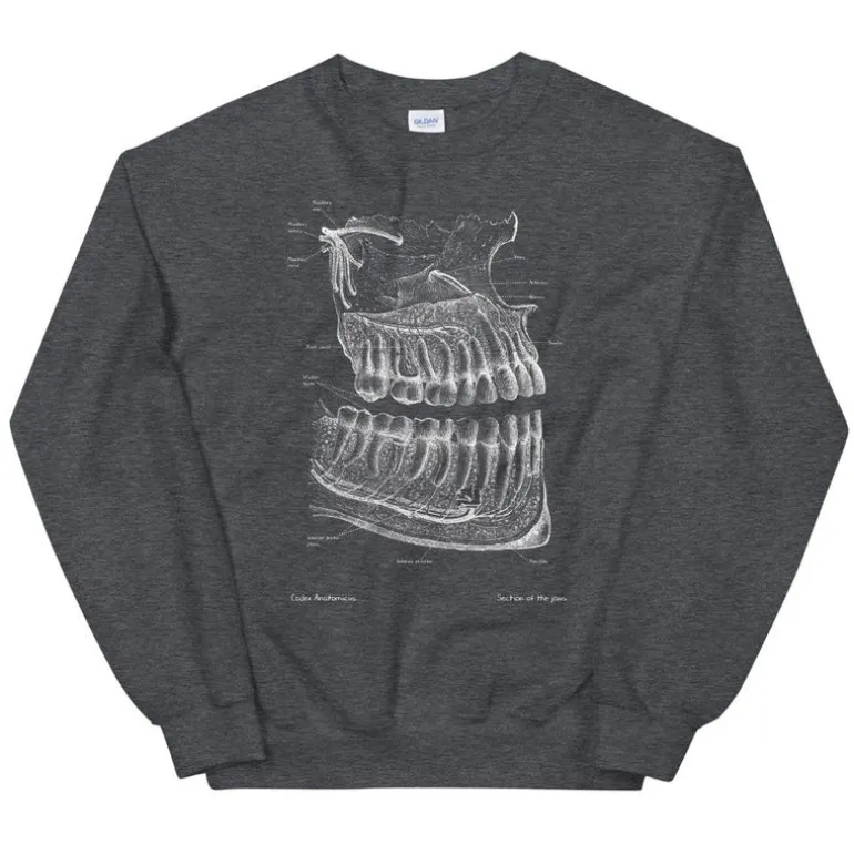 Sweat Unisexe Dentaire - Chalkboard
