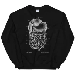 Sweat Unisexe Système Digestif - Chalkboard