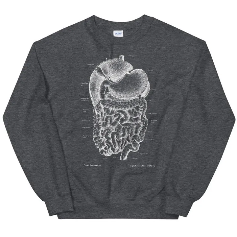 Sweat Unisexe Système Digestif - Chalkboard