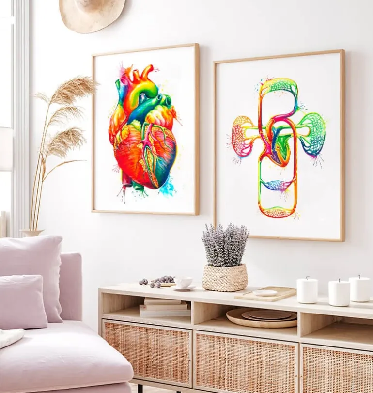 Système cardiovasculaire - Aquarelle
