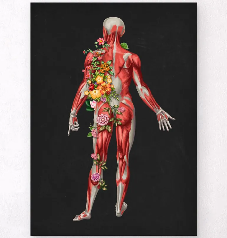 Système musculaire, vue arrière - Floral - Noir