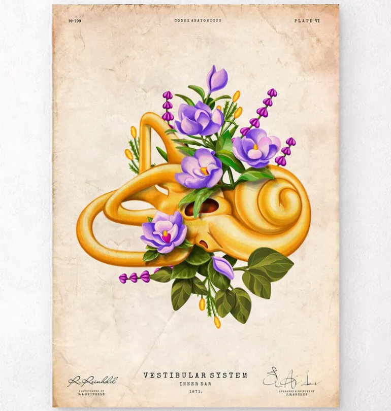Système vestibulaire - Floral - Vintage