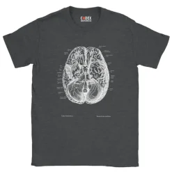 T-shirt Unisexe Cerveau II - Chalkboard