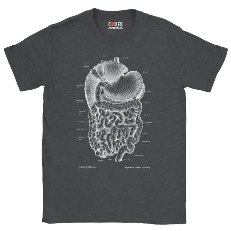 T-shirt Unisexe Système Digestif - Chalkboard