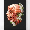Tête, cerveau et artères - Floral - Noir