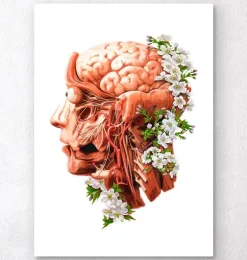 Tête, cerveau et artères - Floral - Blanc