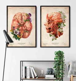 Tête, cerveau et artères - Floral - Vieux papier