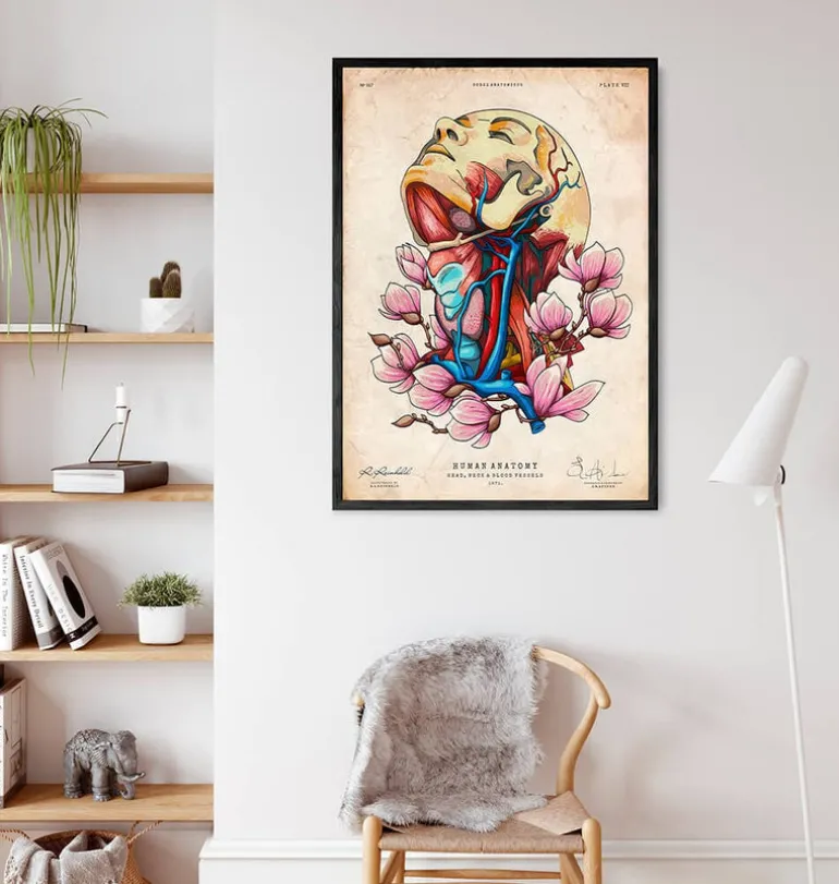 Tête, cou et artères - Floral - Vieux papier