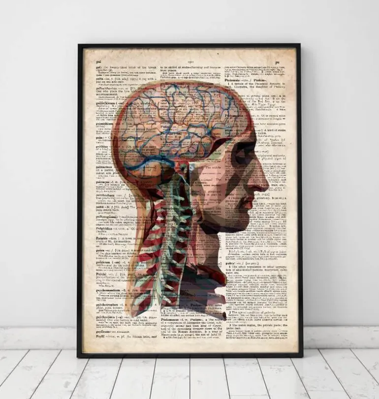 Tête et cerveau - Dictionnaire