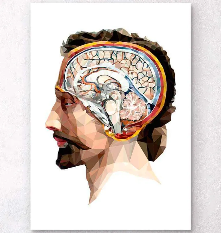 Tête et cerveau géométriques II