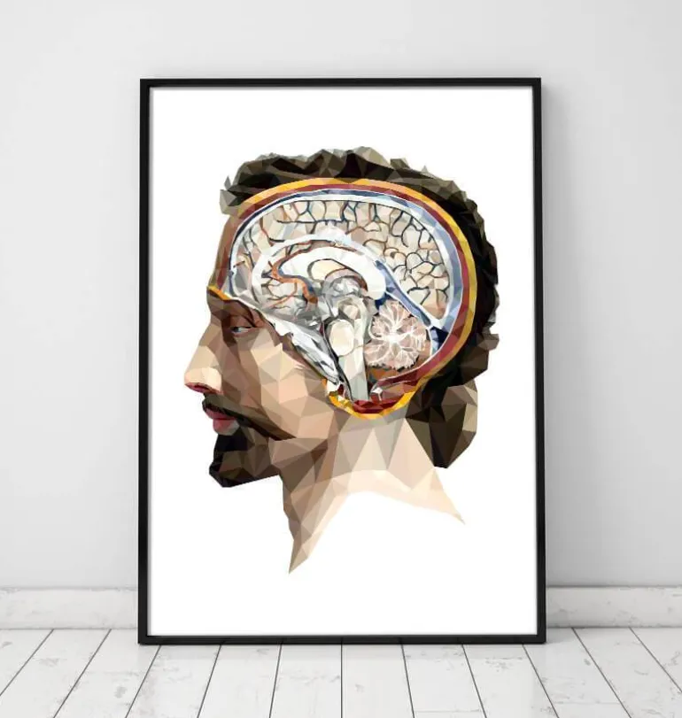 Tête et cerveau géométriques II