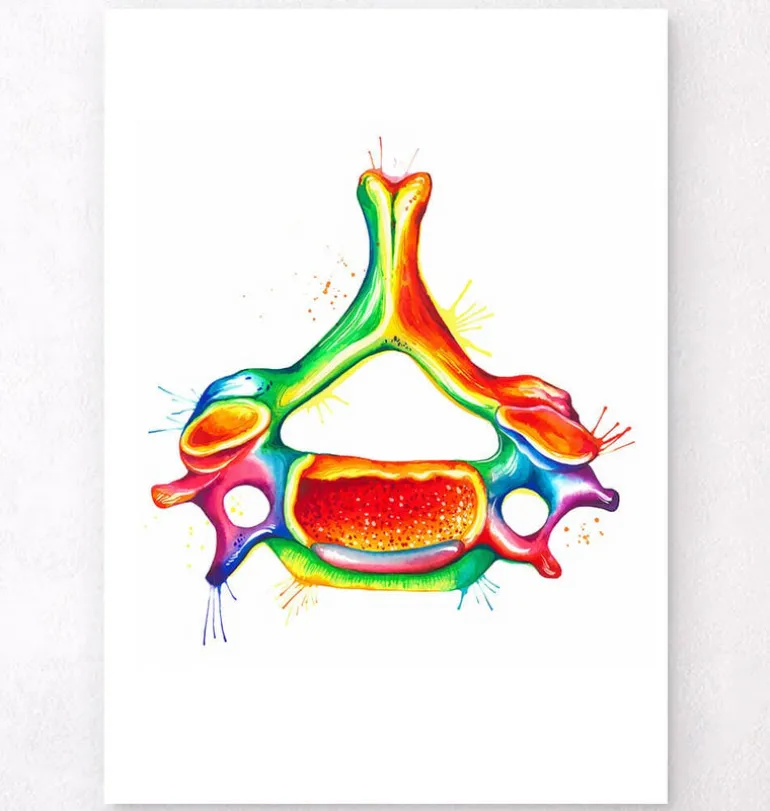 Vertèbre cervicale - Aquarelle
