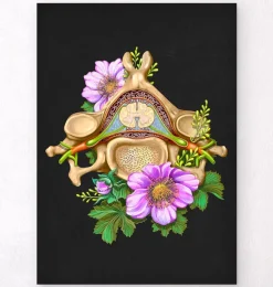 Vertèbre cervicale - Floral - Noir