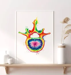 Vertèbre lombaire - Aquarelle