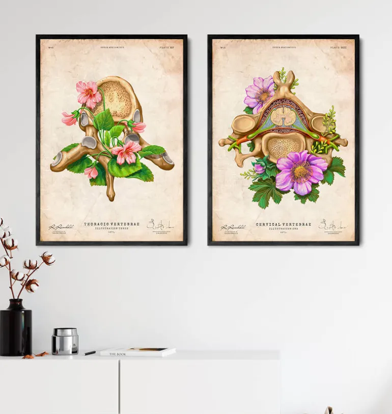 Vertèbre thoracique - Floral - Vintage