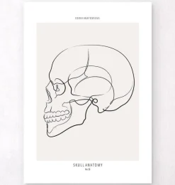 Vue latérale du crâne - Line Art