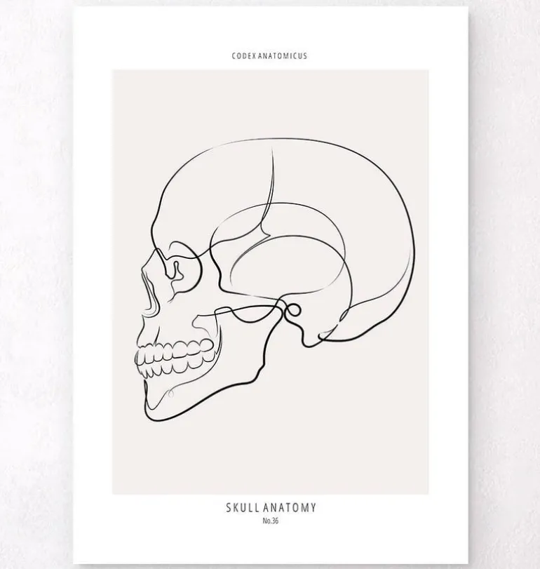 Vue latérale du crâne - Line Art