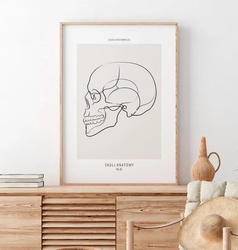 Vue latérale du crâne - Line Art